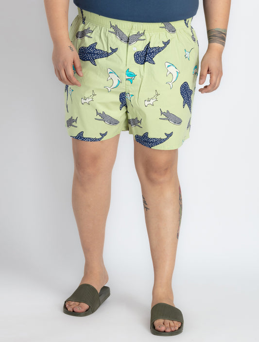 Mens Plus Size Green Boxer