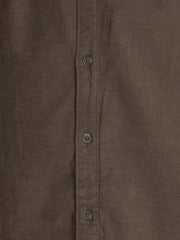 Olive Spread Collar Solid  Shirt