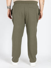 Olive Solid Track Pant